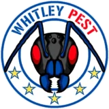 Whitley Pest